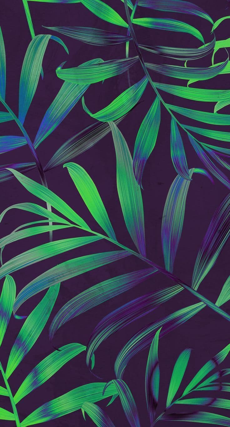 Wallpaper - free HD phone wallpaper for iPhone and Android, 1284x2778