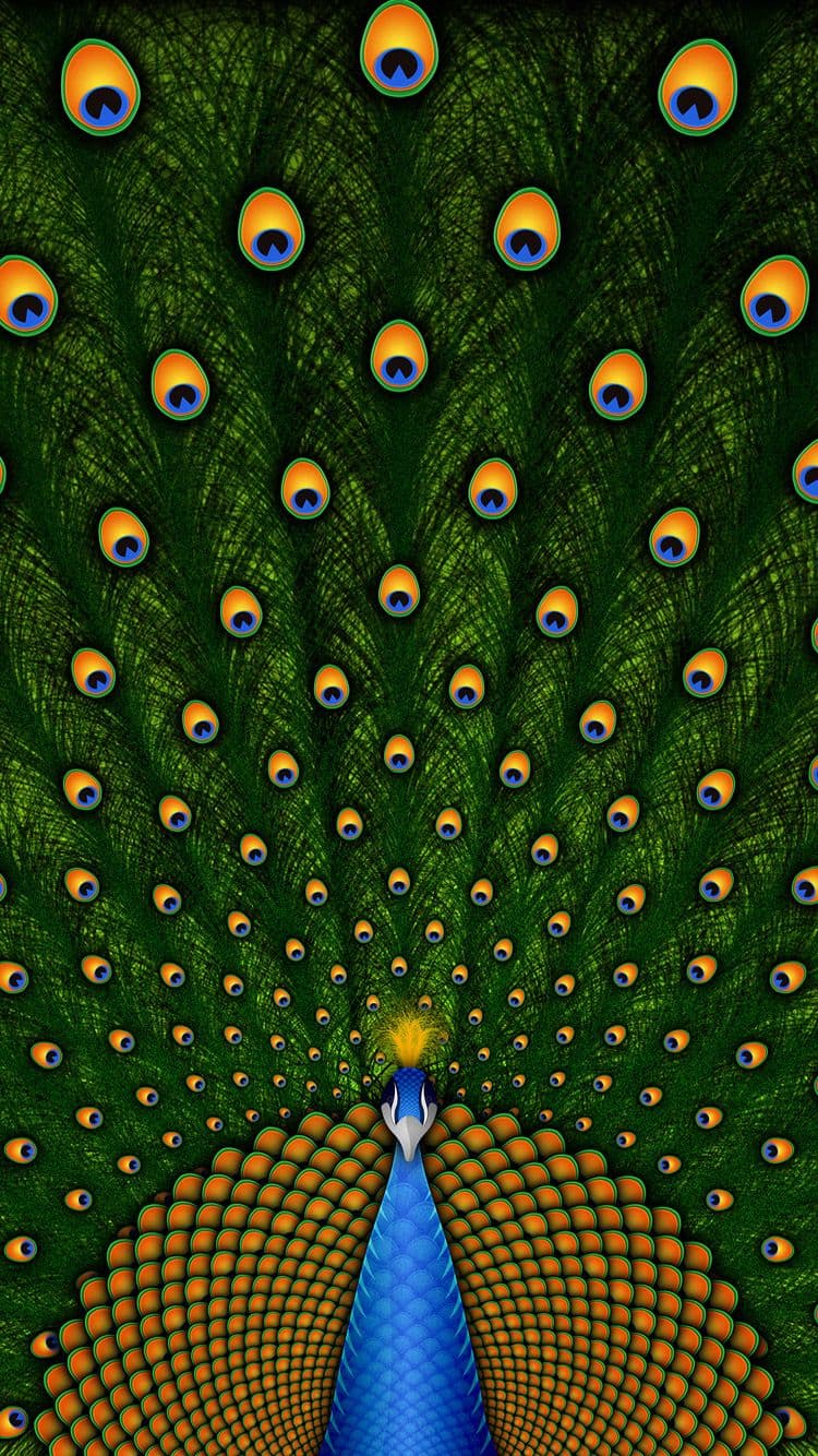 Wallpaper