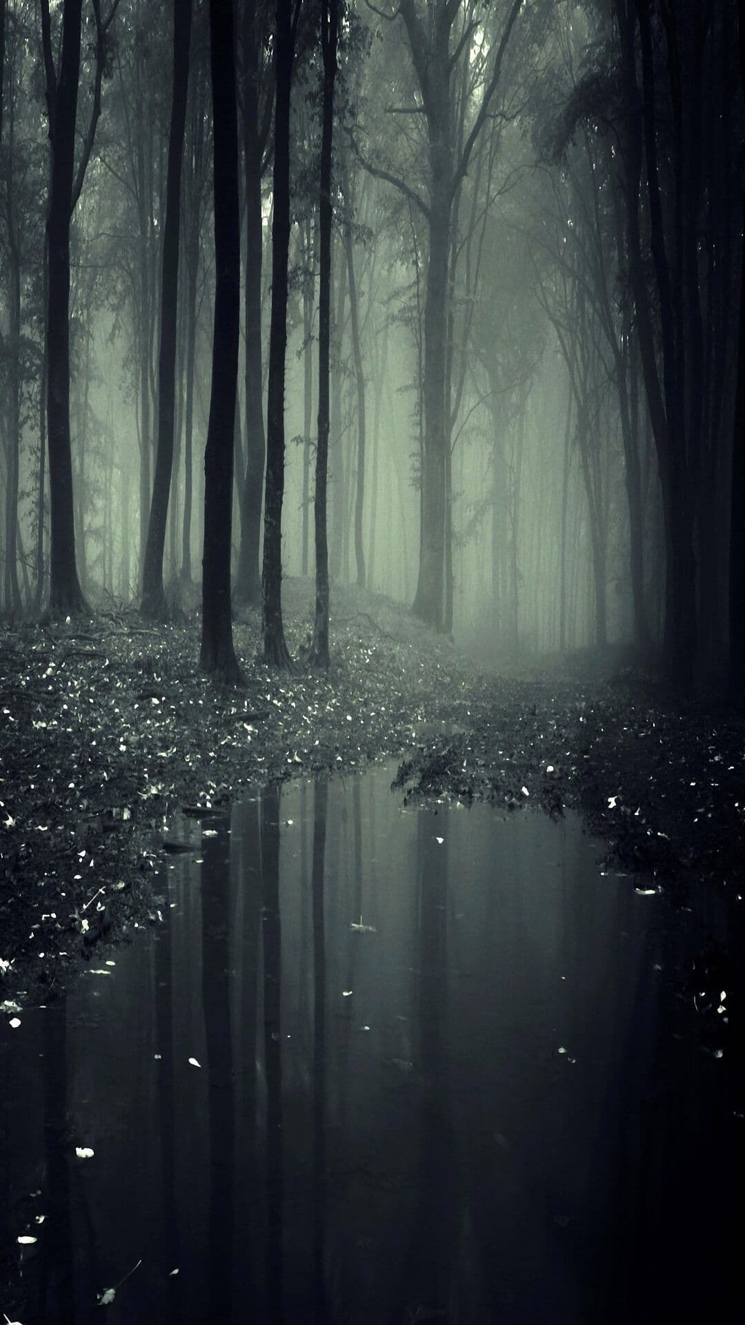 Wallpaper - free HD phone wallpaper for iPhone and Android, 1284x2778