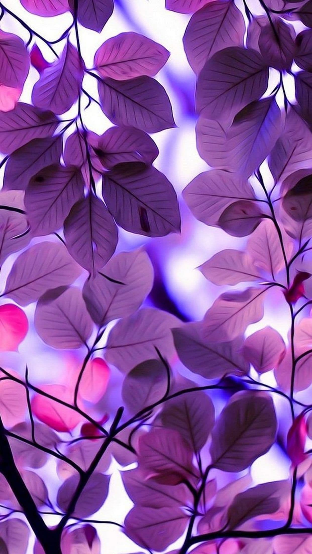 Wallpaper
