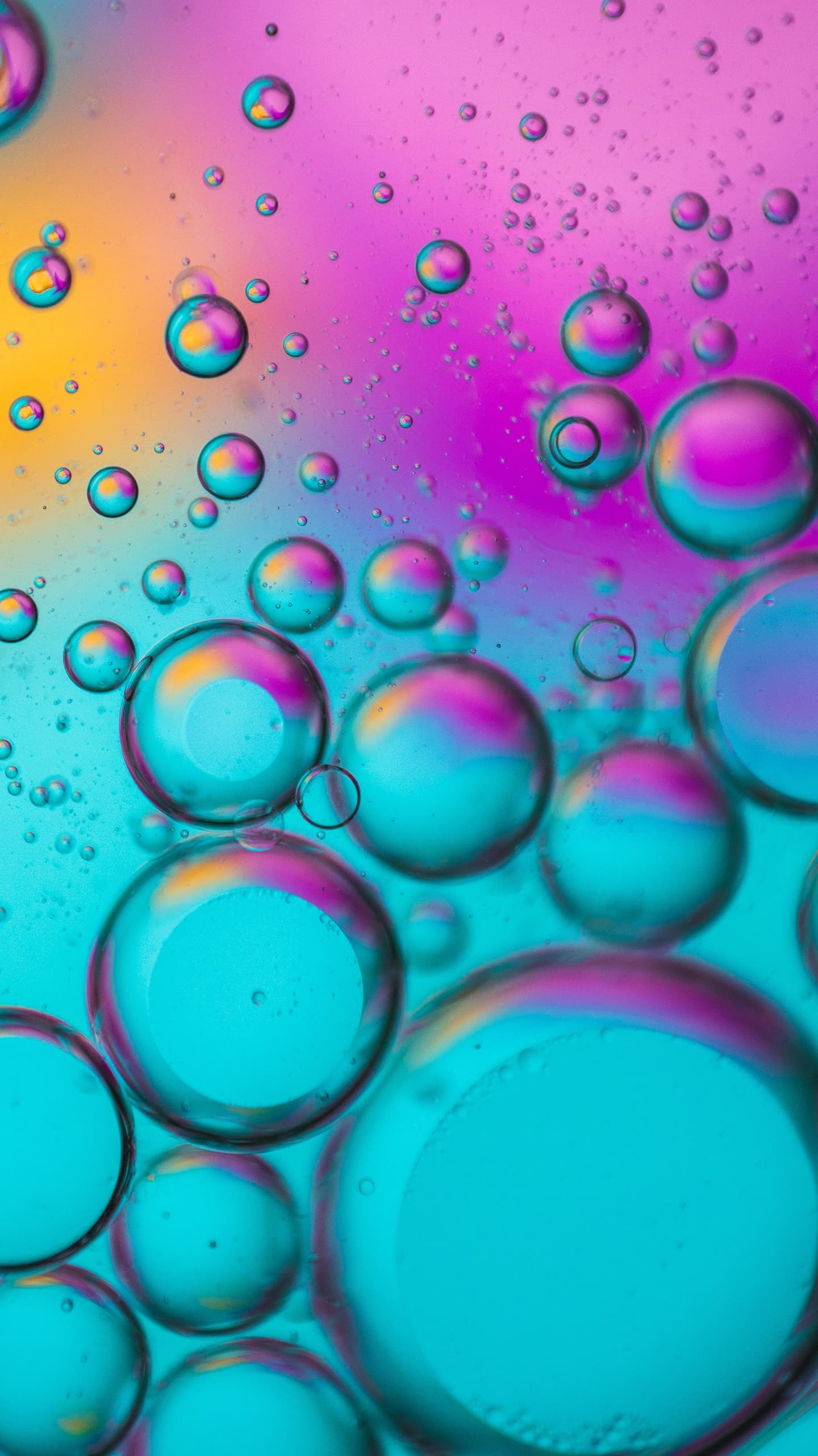 Bubbles Spectrum Colorful Teal Turquoise Pink x