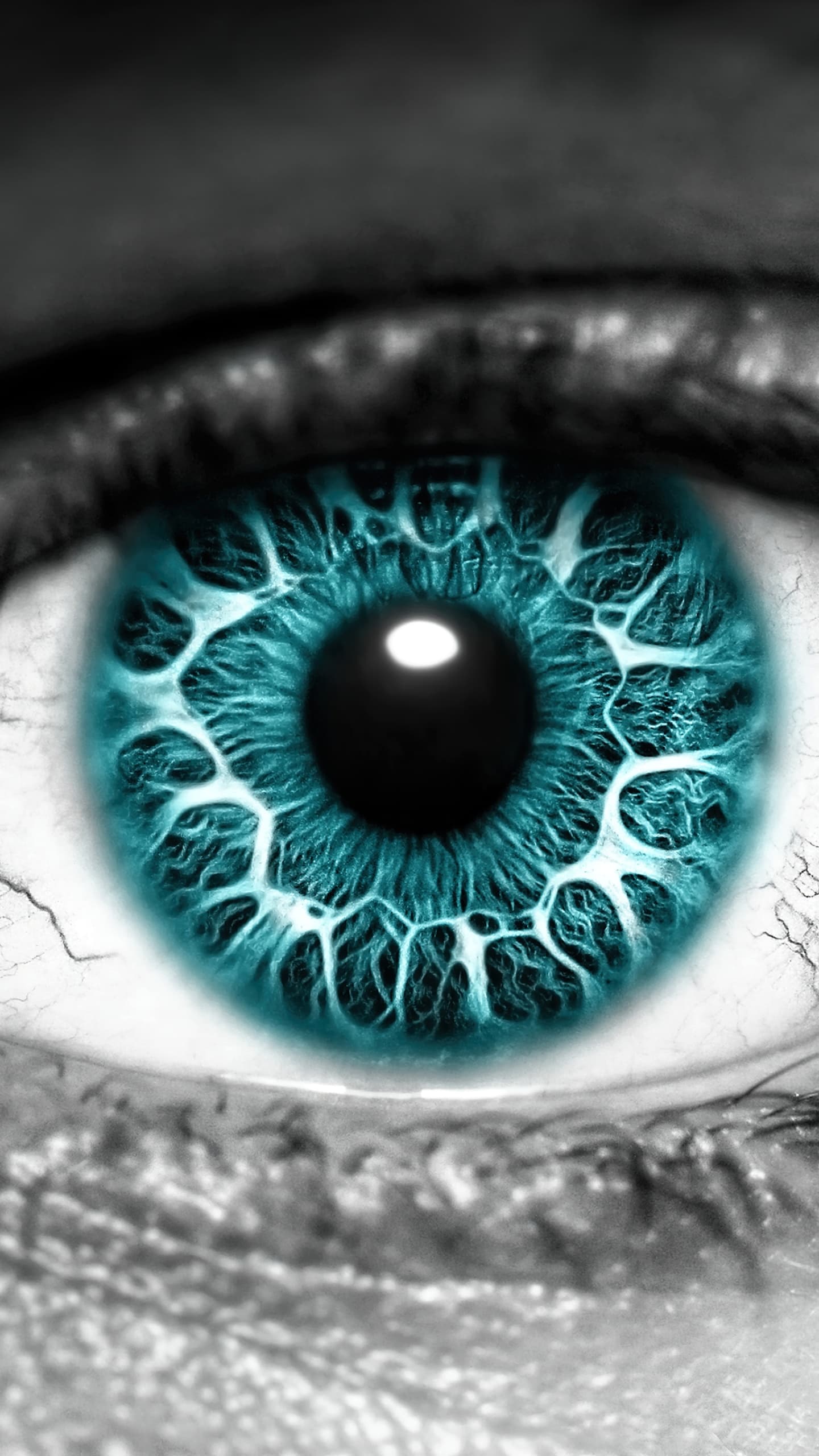 Eye Iris Blue Eyes Close Up Macro x