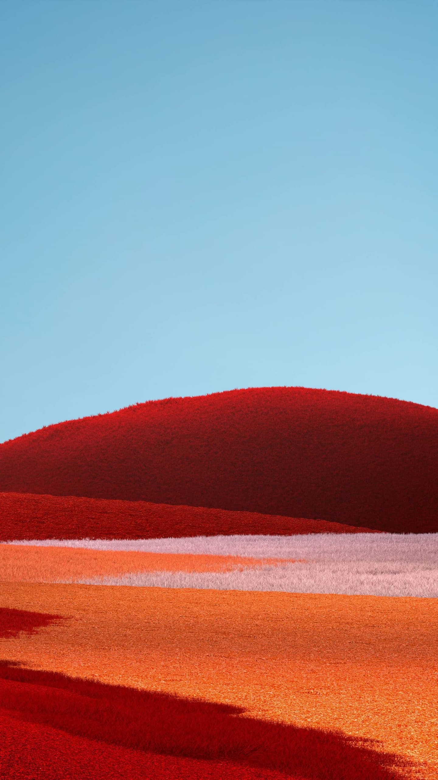 Landscape Grass Field Red Grass Clear Sky Blue Sky x