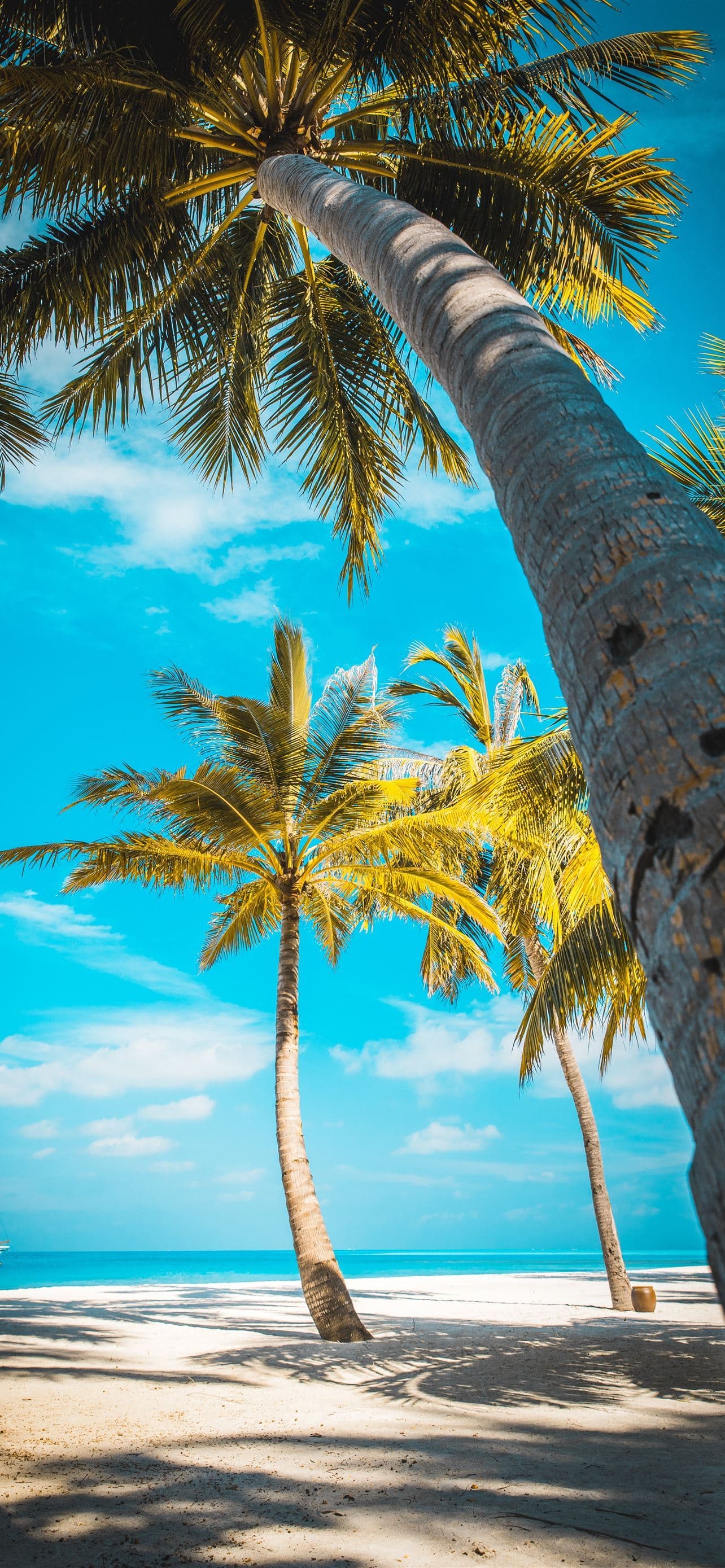 Palm Trees At The Shore Near Boat During Day