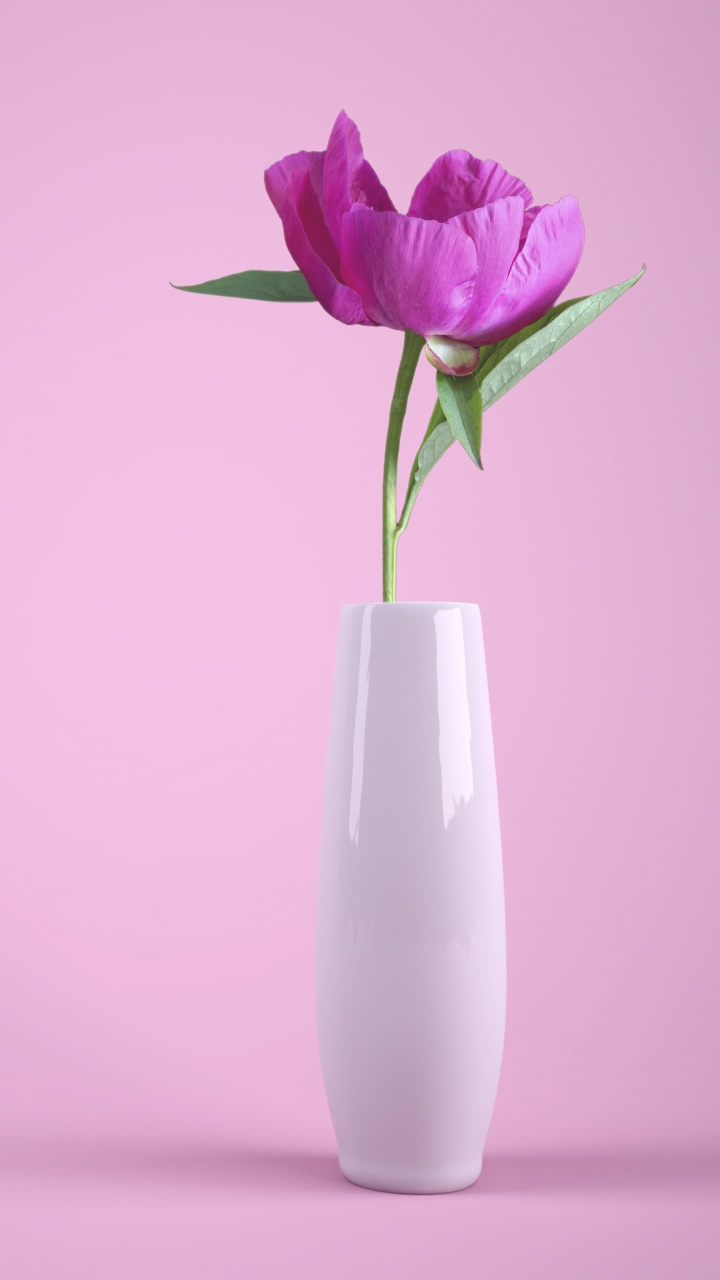 Pink Flower Flower Vase Baby Pink x