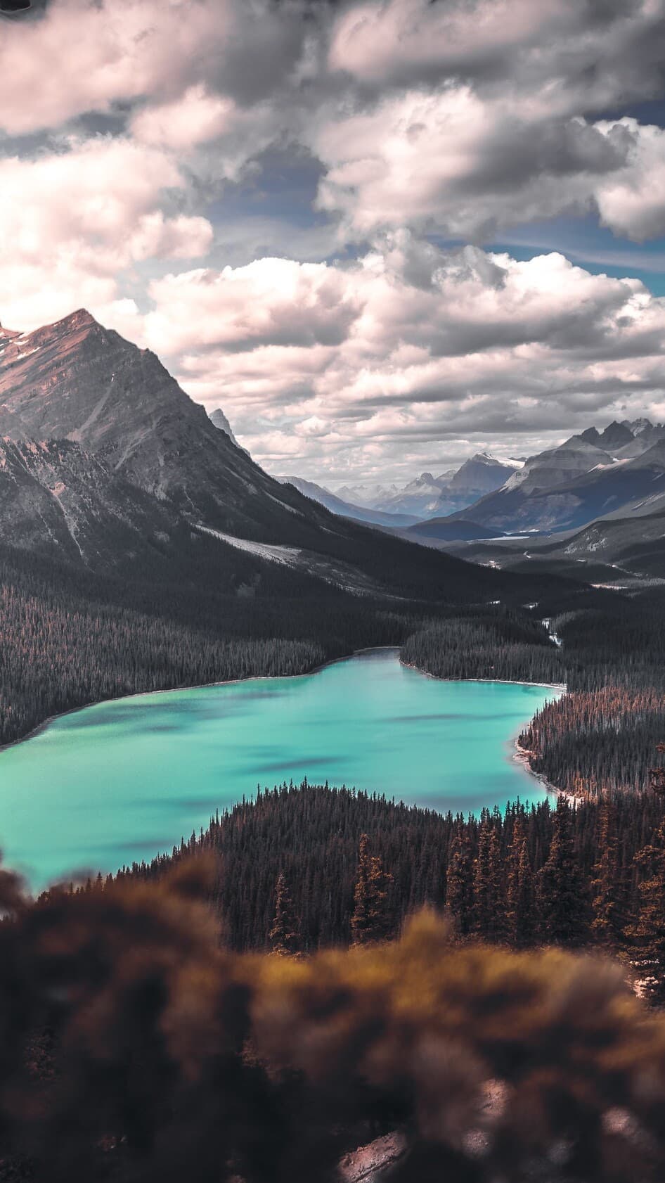 Aesthetic Wallpaper #2413