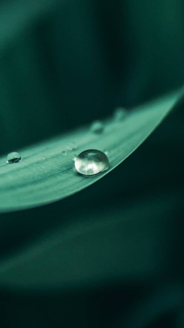 Aesthetic Wallpaper #5415