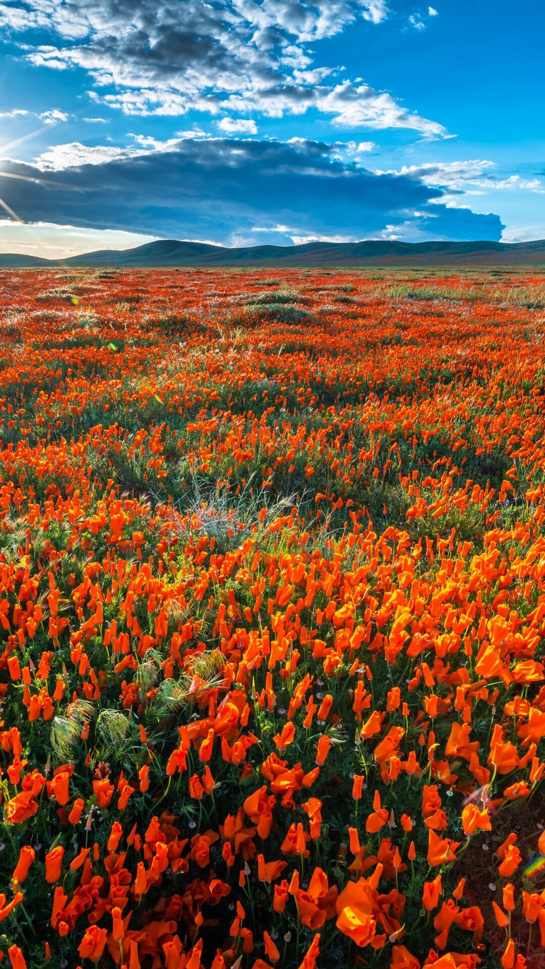 Aesthetic Wallpaper #4248