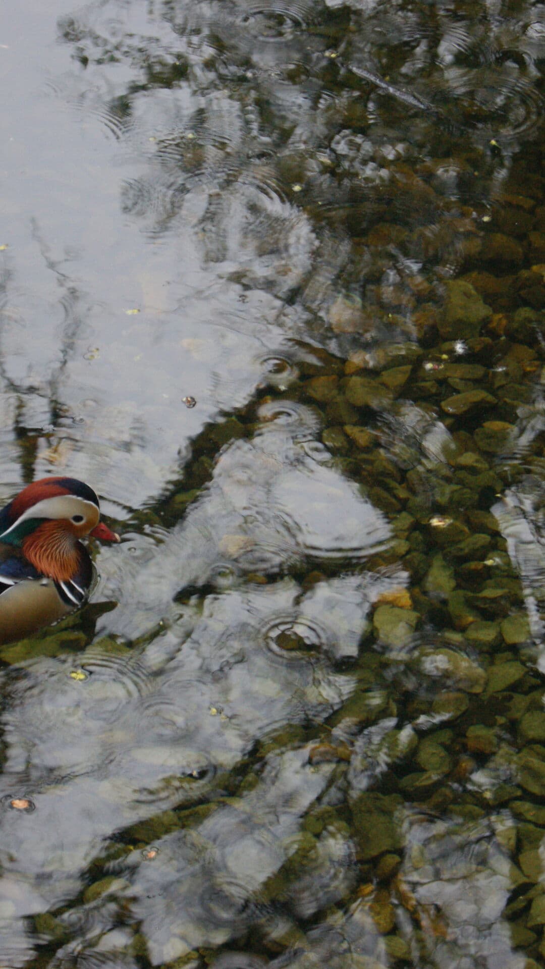 Aesthetic Wallpaper #3867