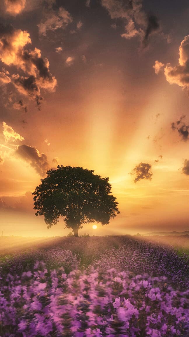 Aesthetic Wallpaper #3858