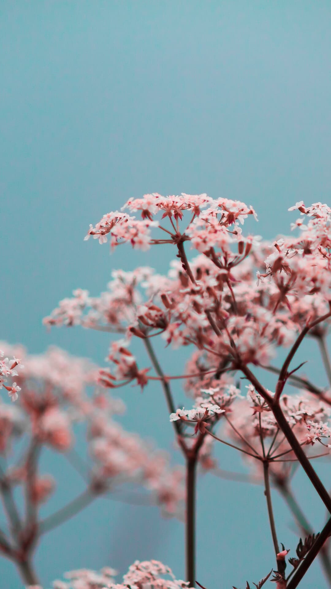 Aesthetic Wallpaper #4389