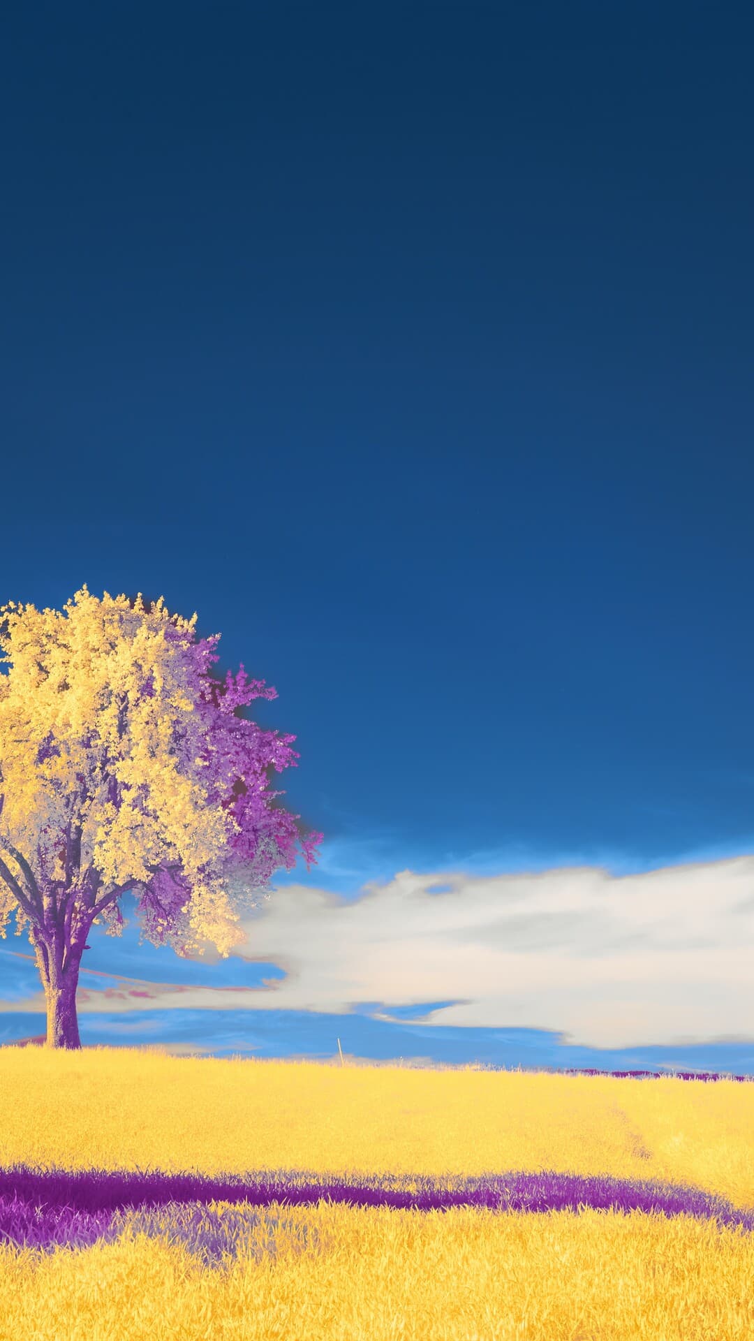 Aesthetic Wallpaper #3501