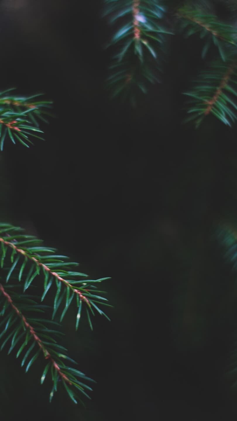 Aesthetic Wallpaper #5436