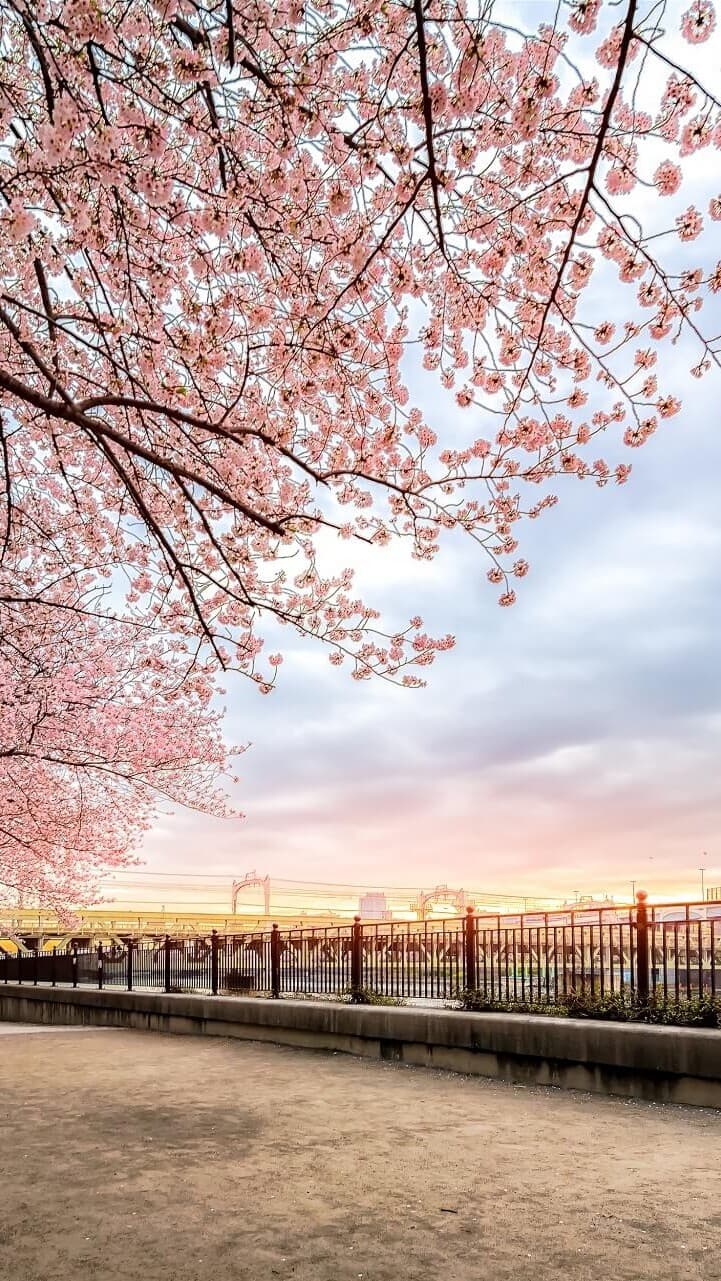 Aesthetic Wallpaper #2268