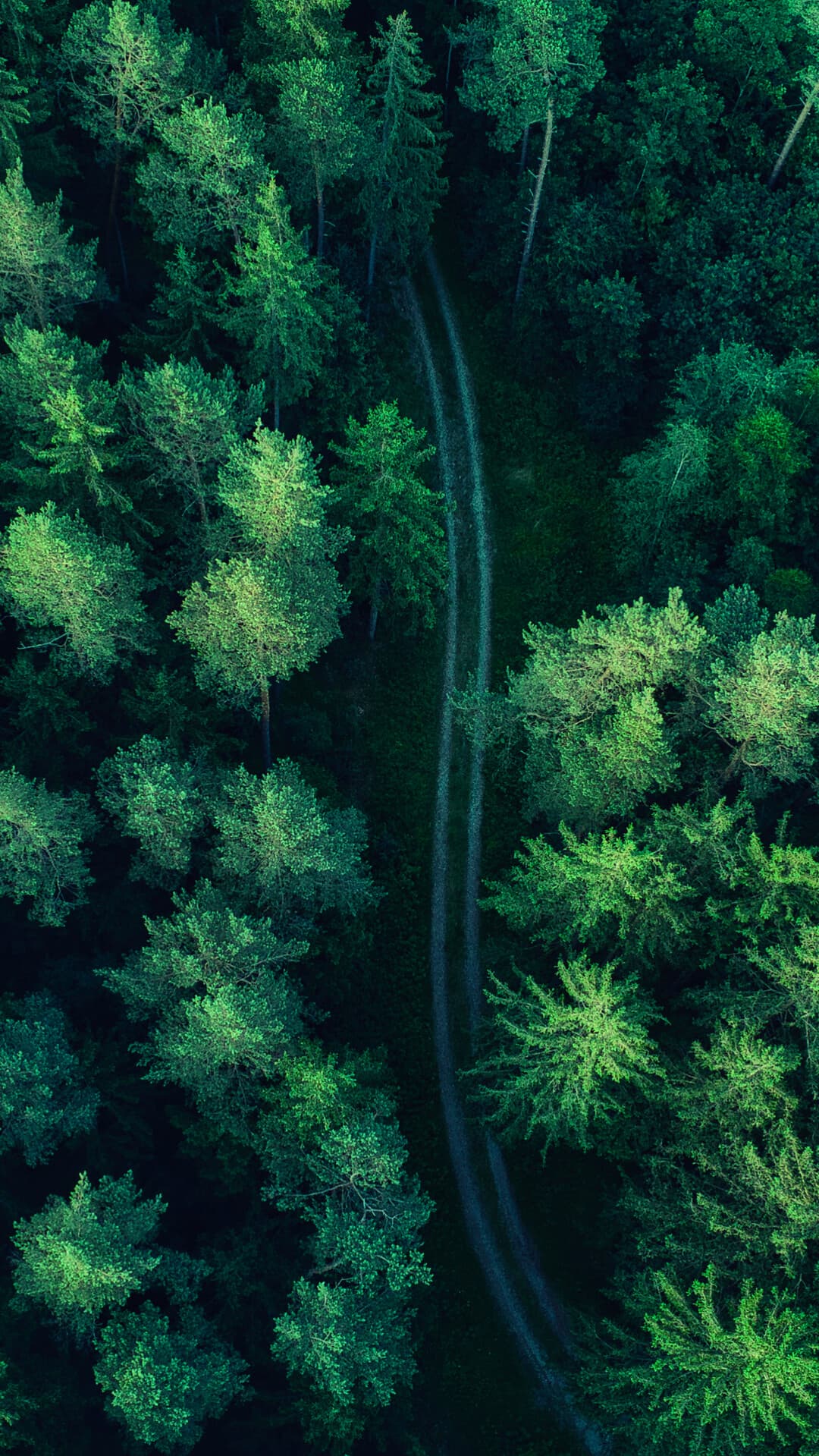 Aesthetic Wallpaper #5465