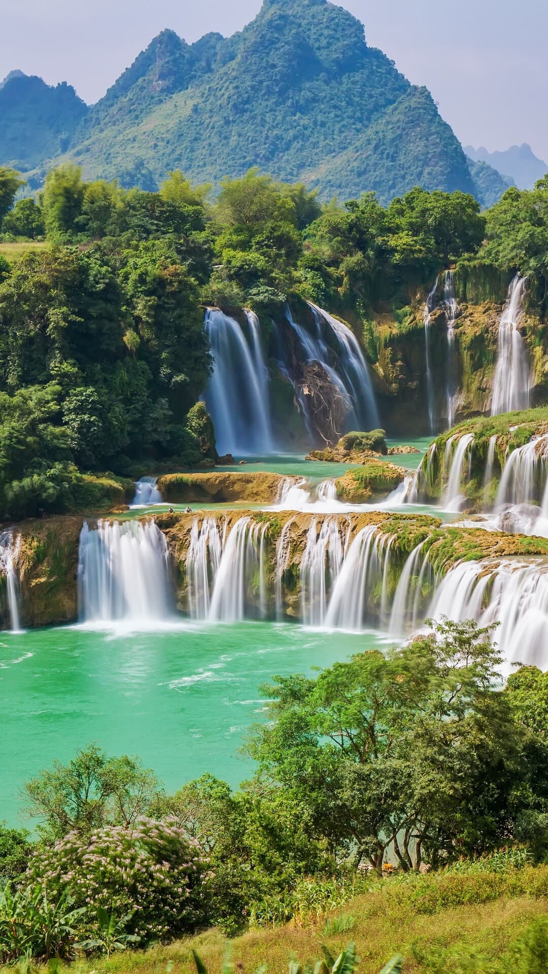 Aesthetic Wallpaper #2111