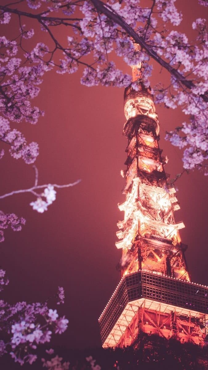 Aesthetic Wallpaper #4901