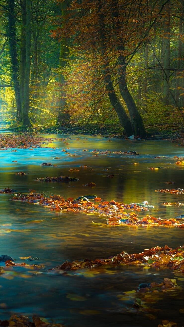 Aesthetic Wallpaper #1797