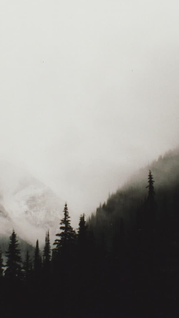 Aesthetic Wallpaper #2421