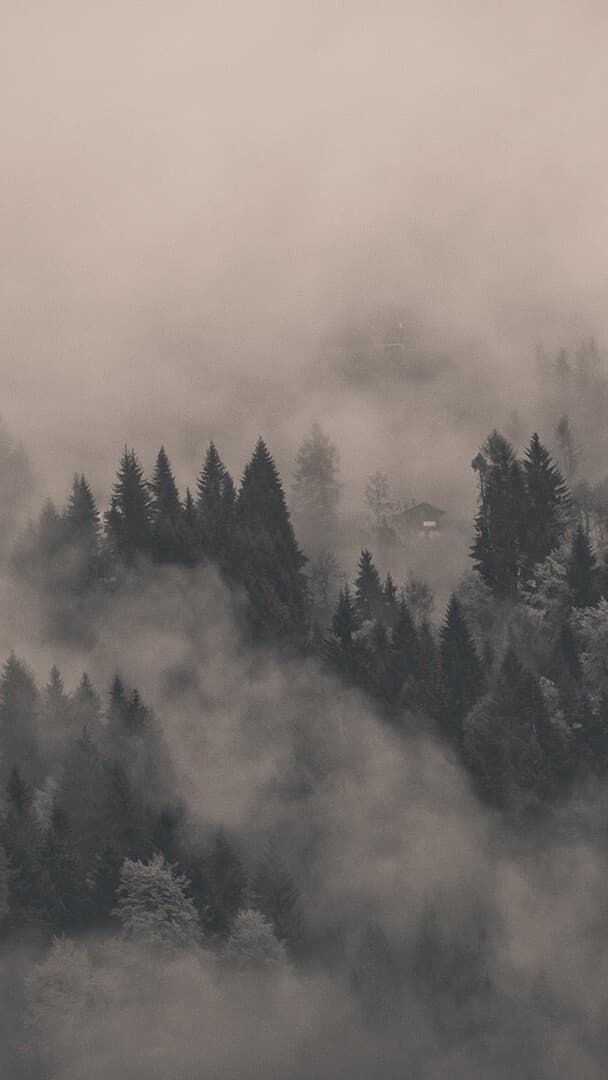 Aesthetic Wallpaper #3702