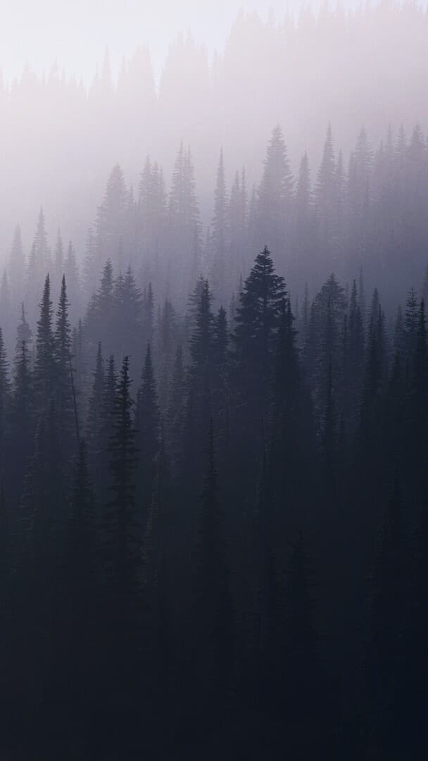 Aesthetic Wallpaper #1699