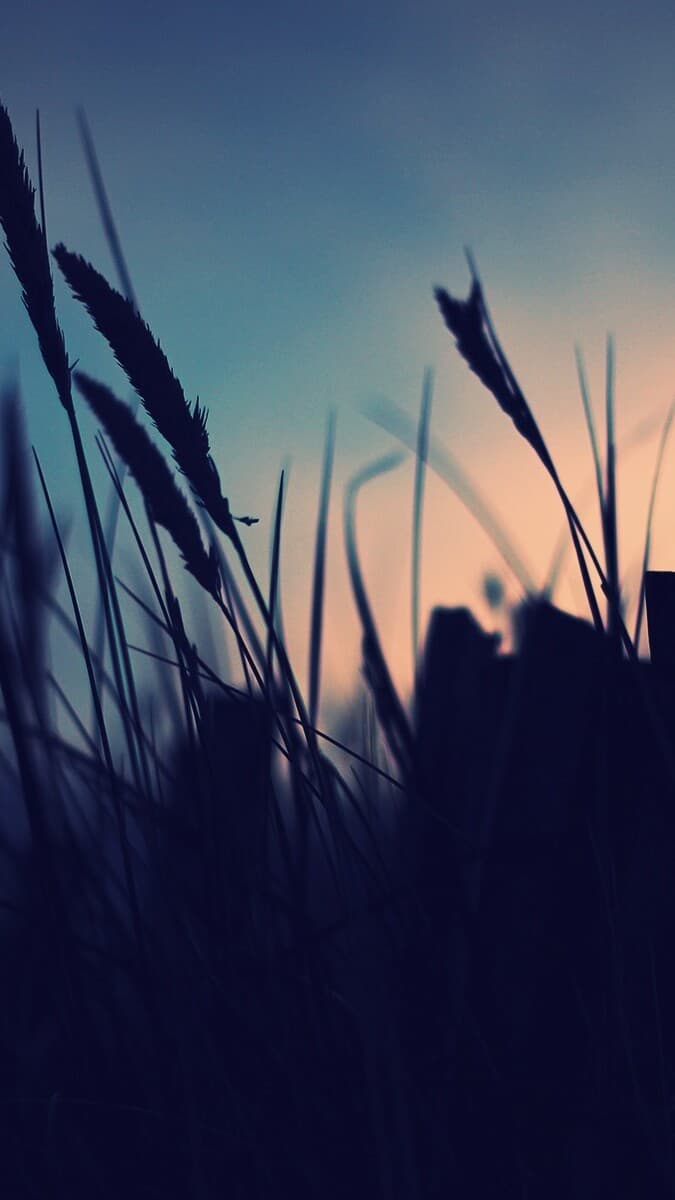 Aesthetic Wallpaper #1484