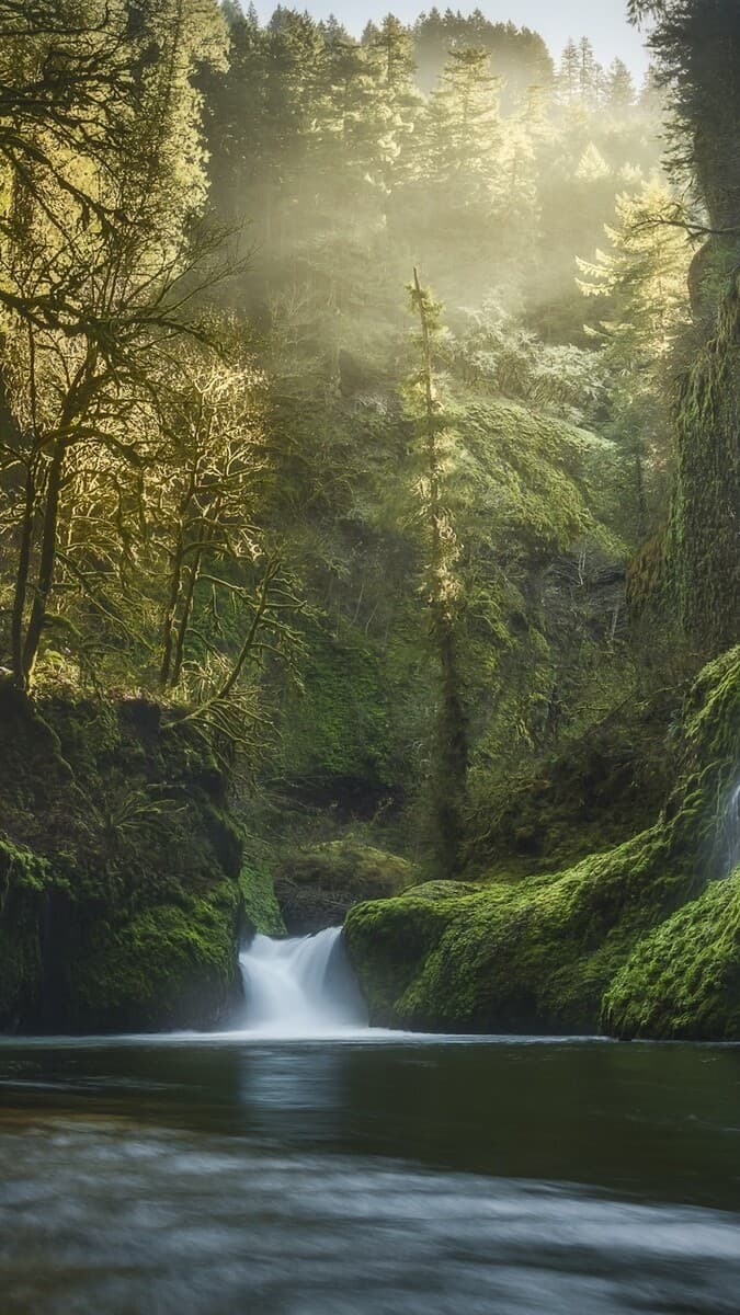 Aesthetic Wallpaper #3230