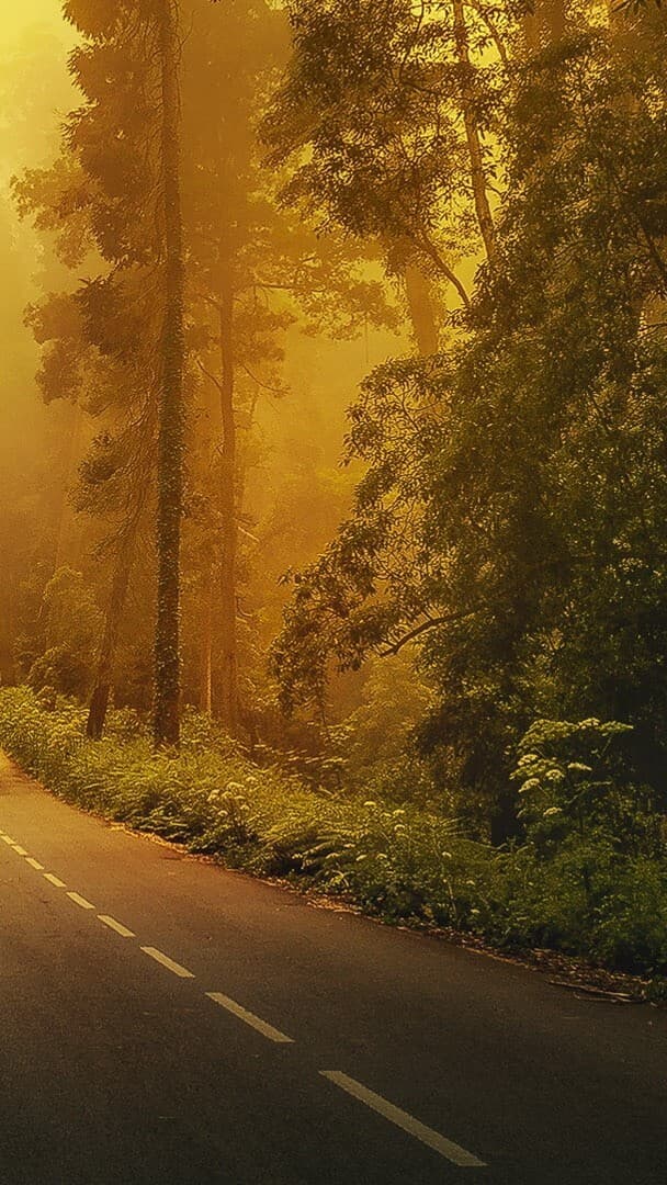 Aesthetic Wallpaper #4387 - free HD phone wallpaper for iPhone and Android, 1284x2778