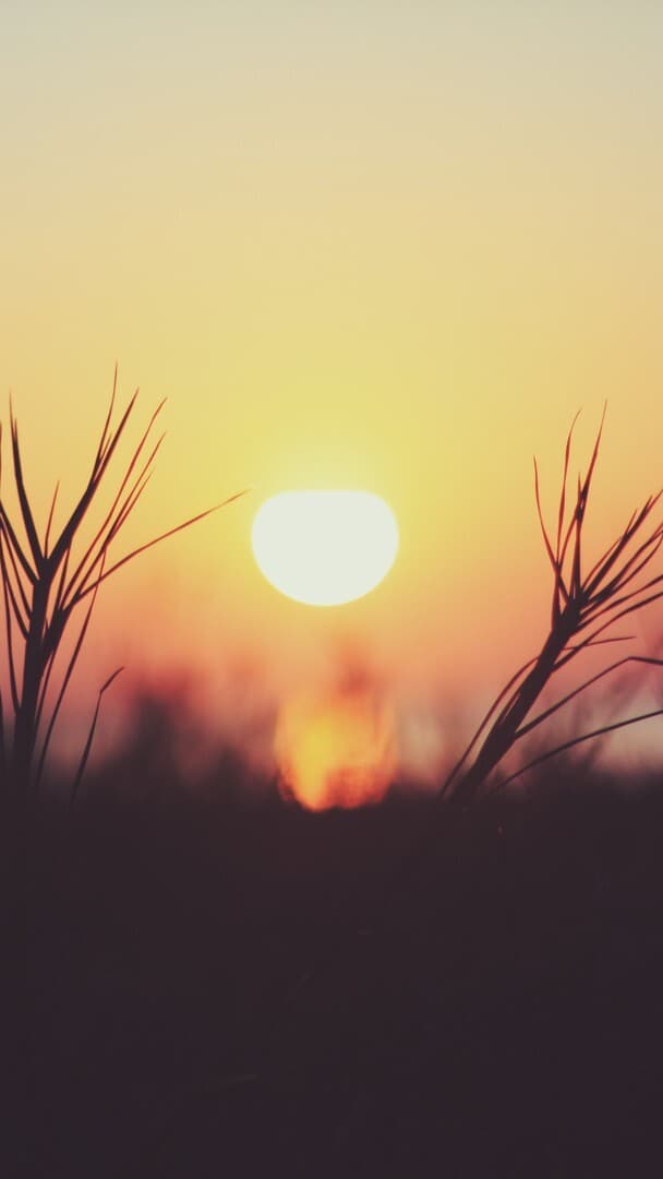 Aesthetic Wallpaper #3874