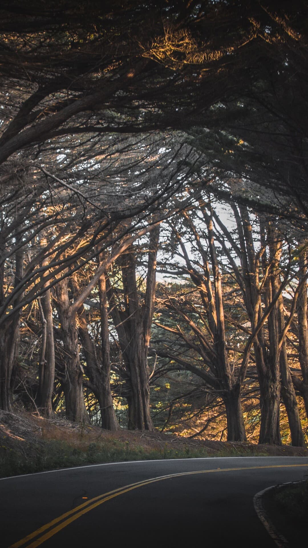 Aesthetic Wallpaper #2046