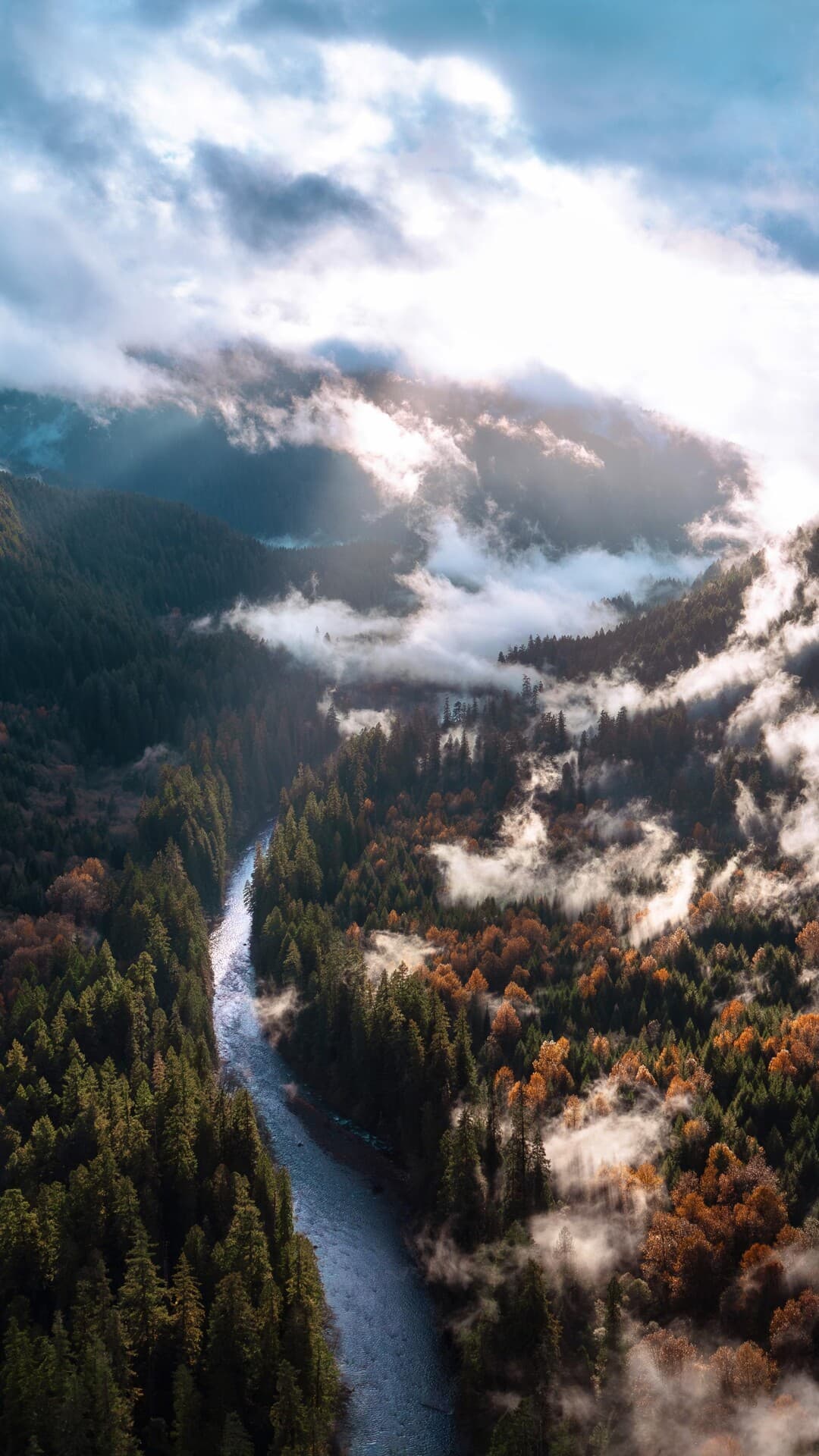 Aesthetic Wallpaper #412