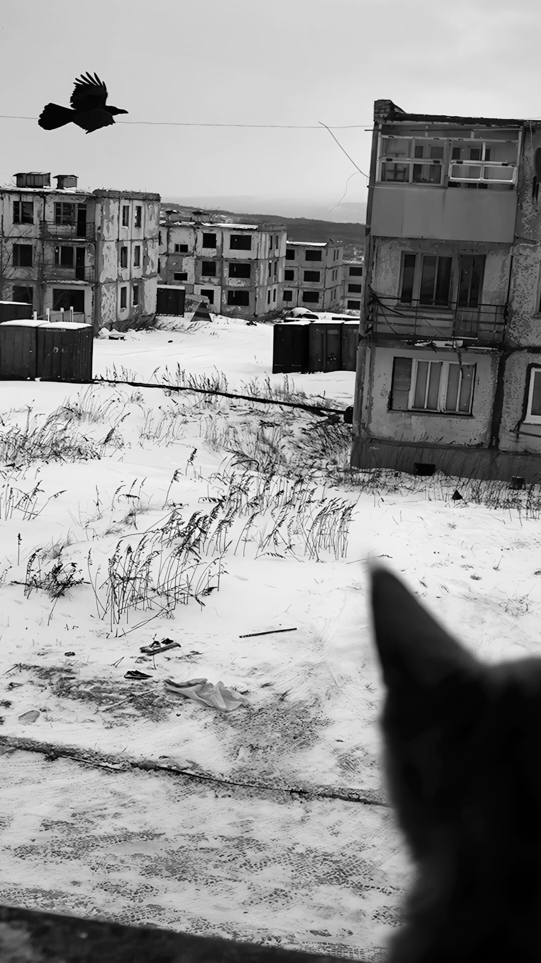 Aesthetic Wallpaper #176