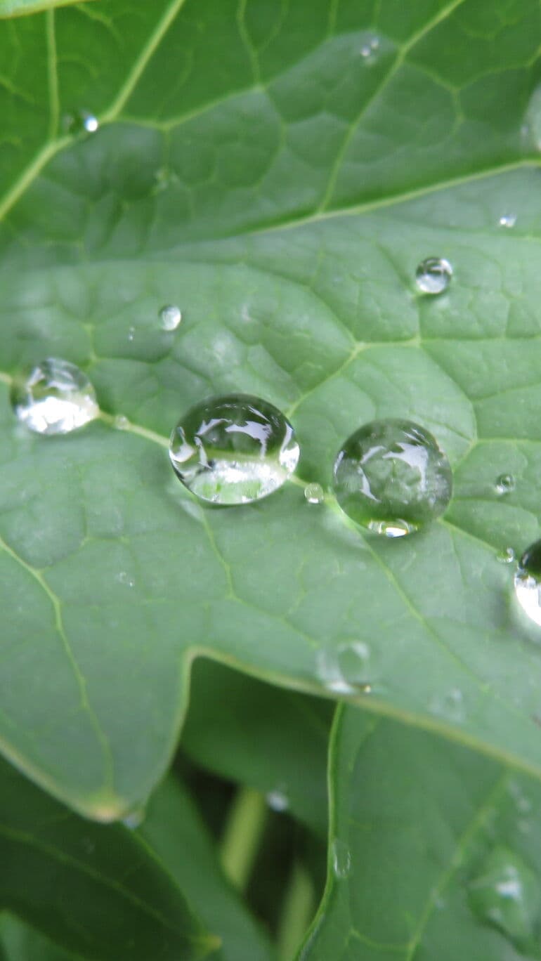 Aesthetic Wallpaper #5450