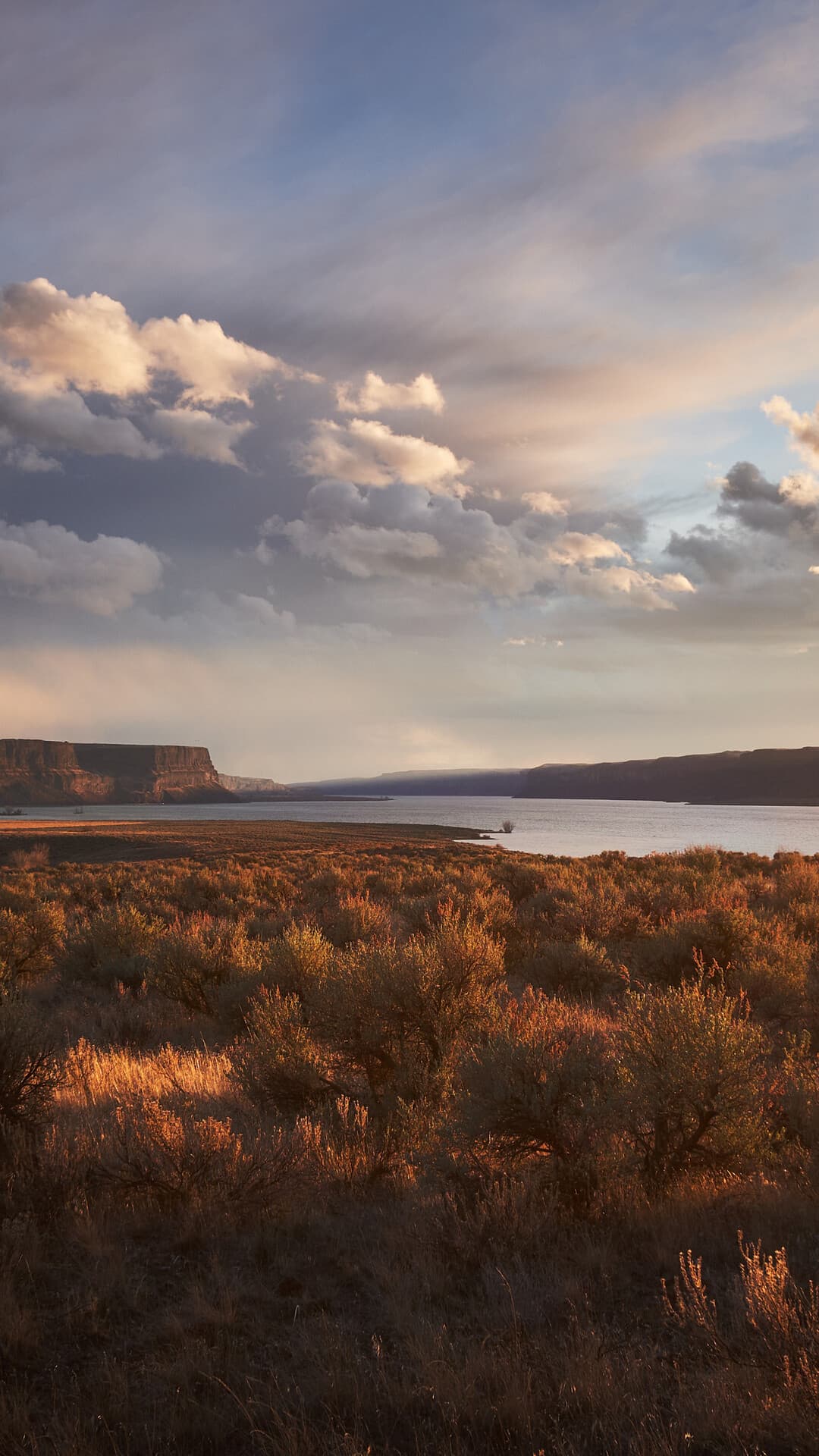 Aesthetic Wallpaper #4324