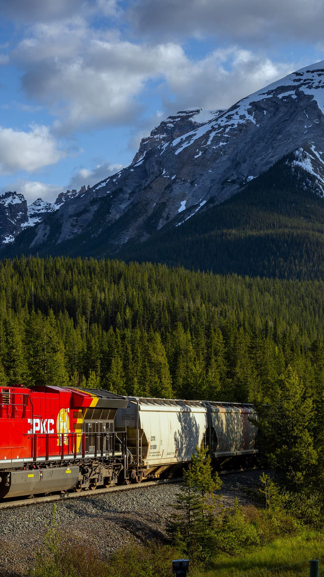 Aesthetic Wallpaper #779