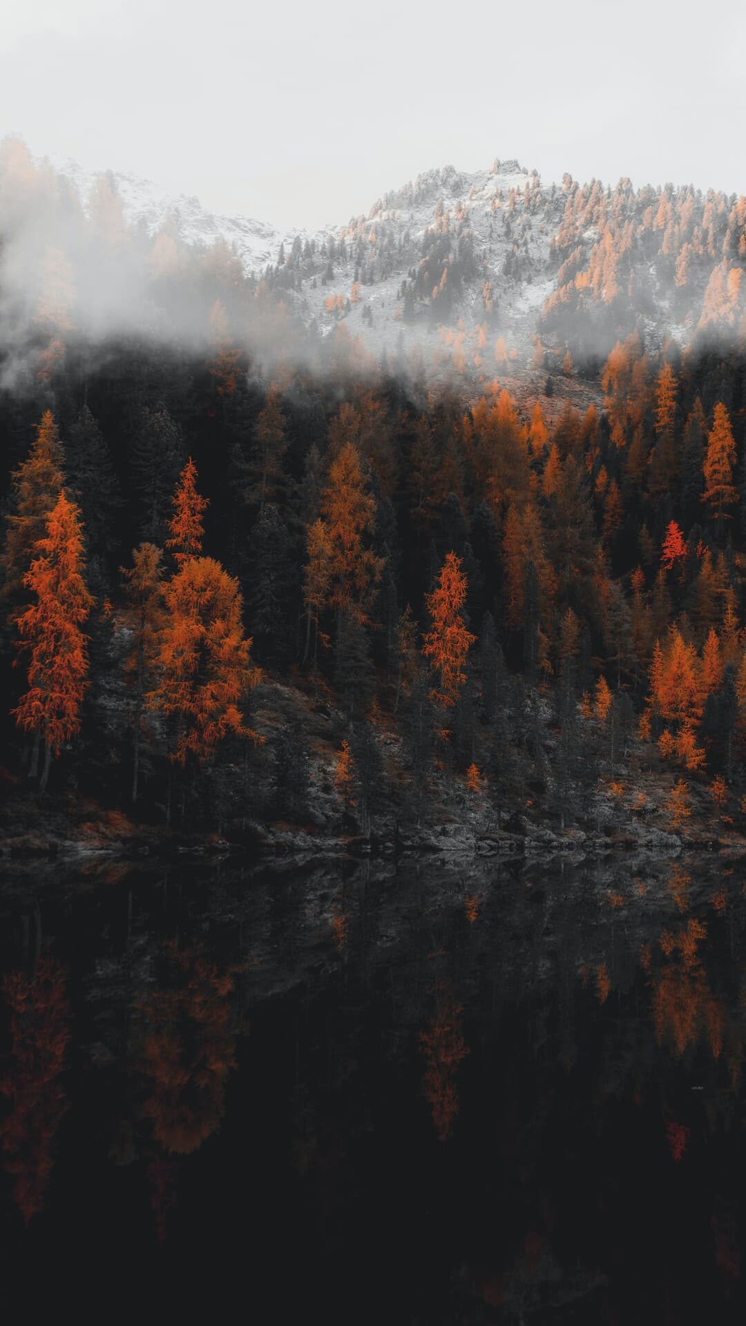 Aesthetic Wallpaper #504 - free HD phone wallpaper for iPhone and Android, 1284x2778
