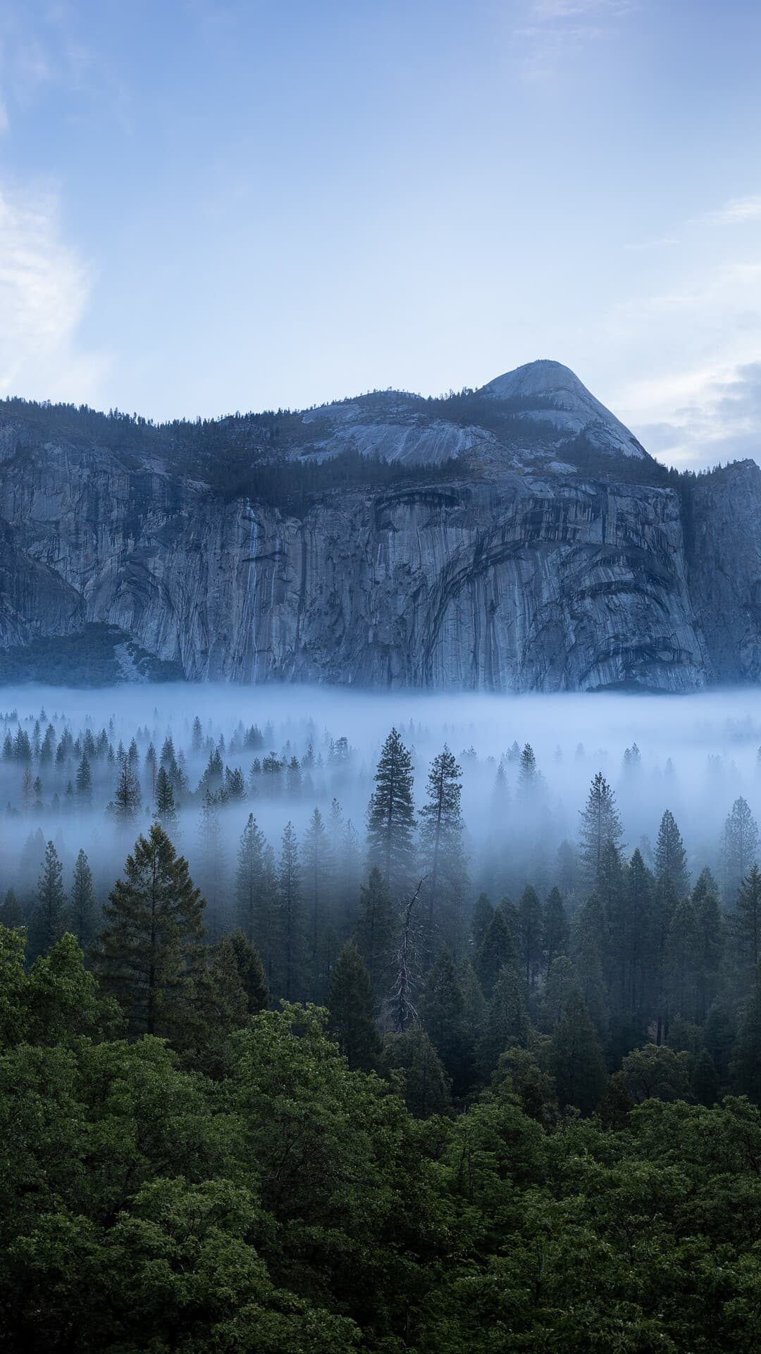 Aesthetic Wallpaper #4828