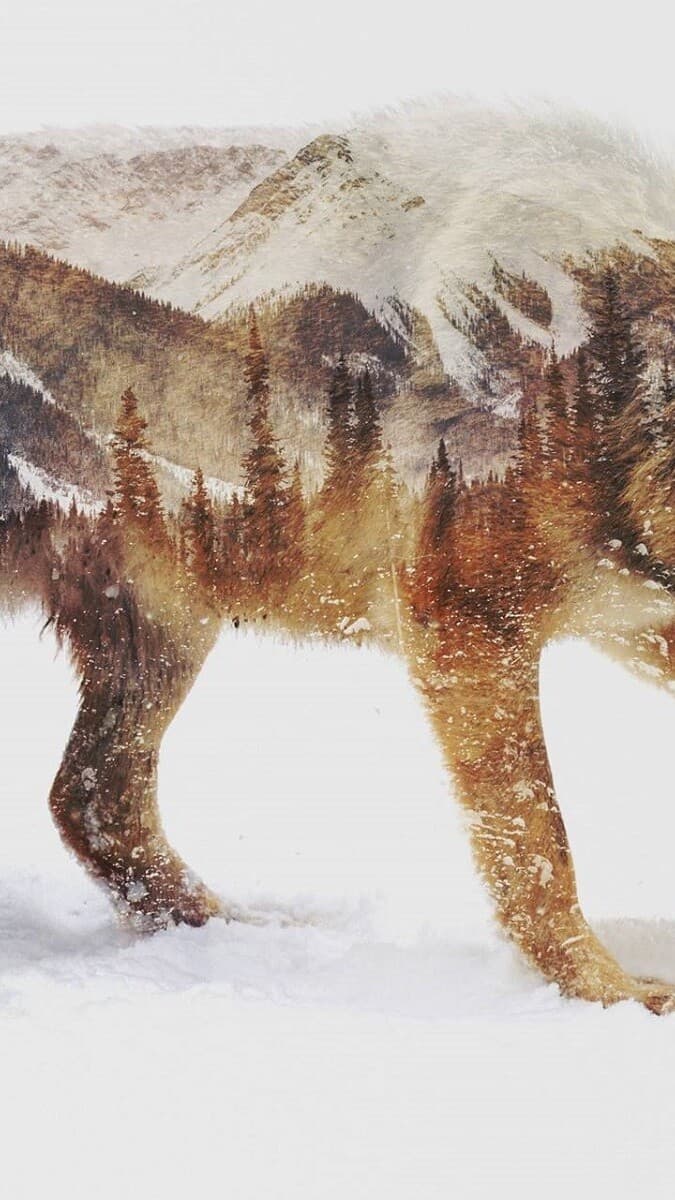 Aesthetic Wallpaper #533