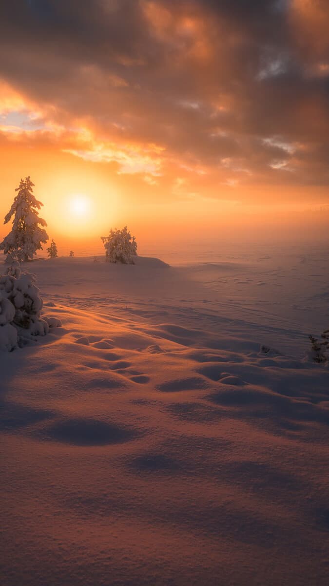 Aesthetic Wallpaper #4560