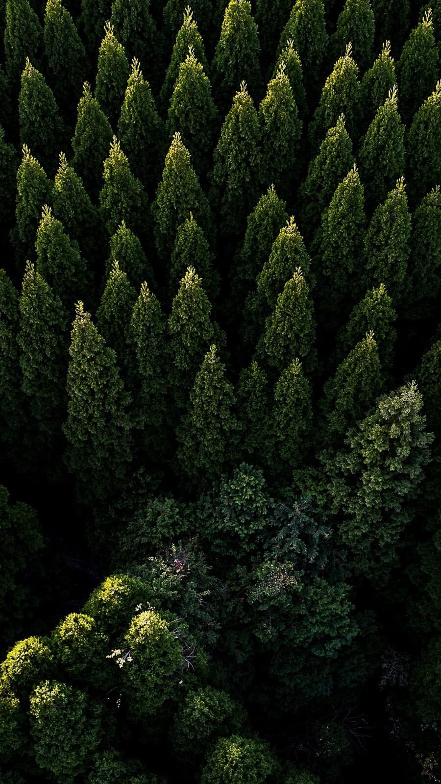 Aesthetic Wallpaper #4296