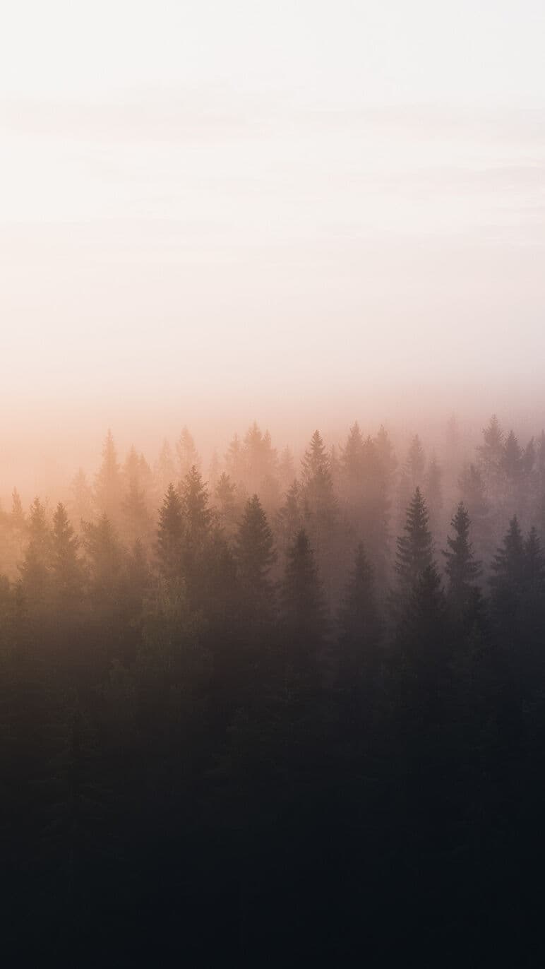 Aesthetic Wallpaper #5129