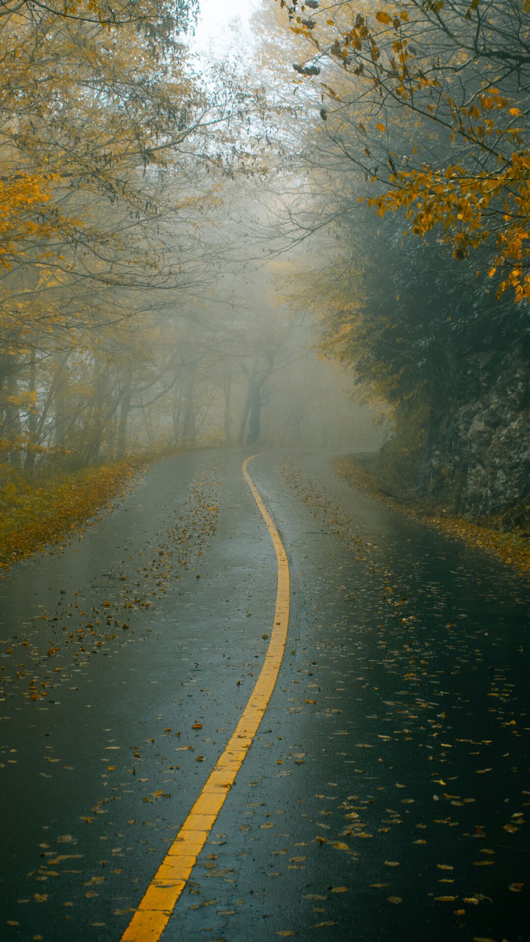 Aesthetic Wallpaper #4321