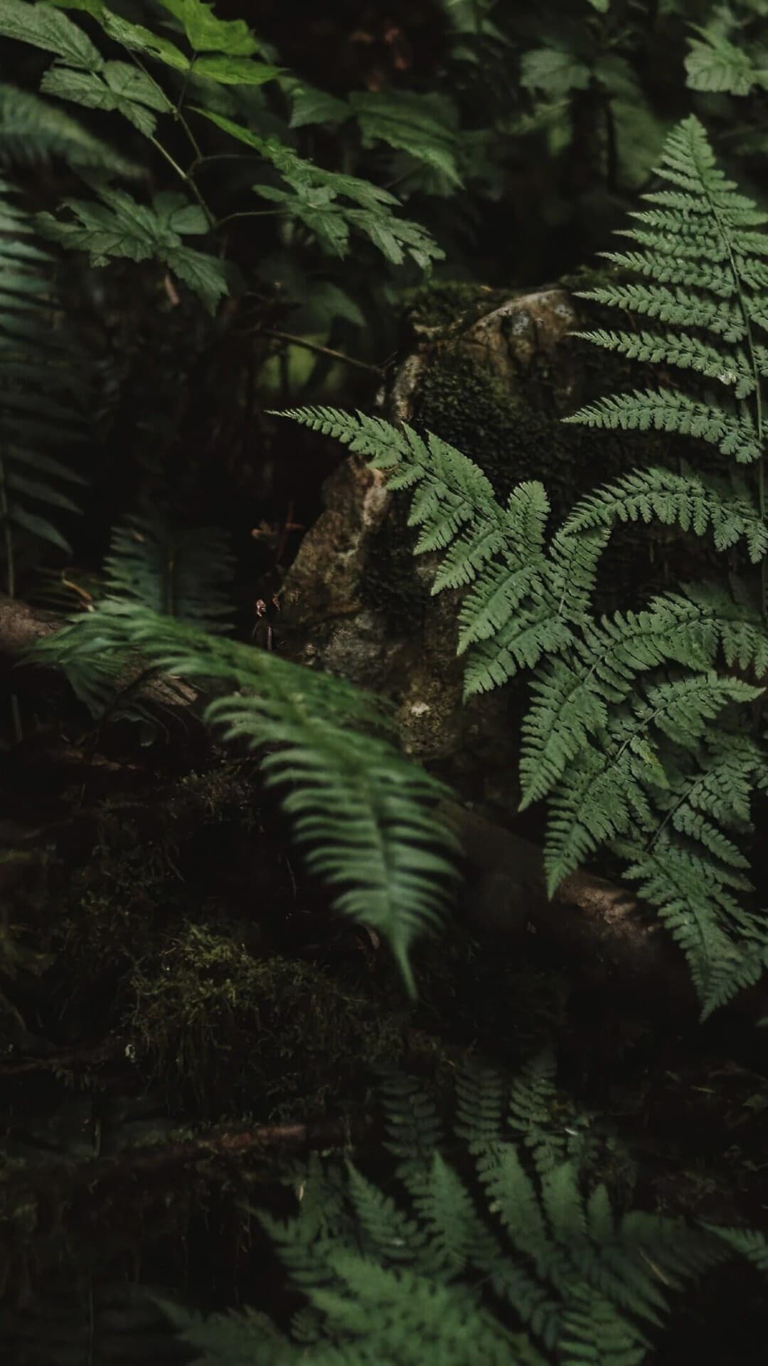 Aesthetic Wallpaper #4913