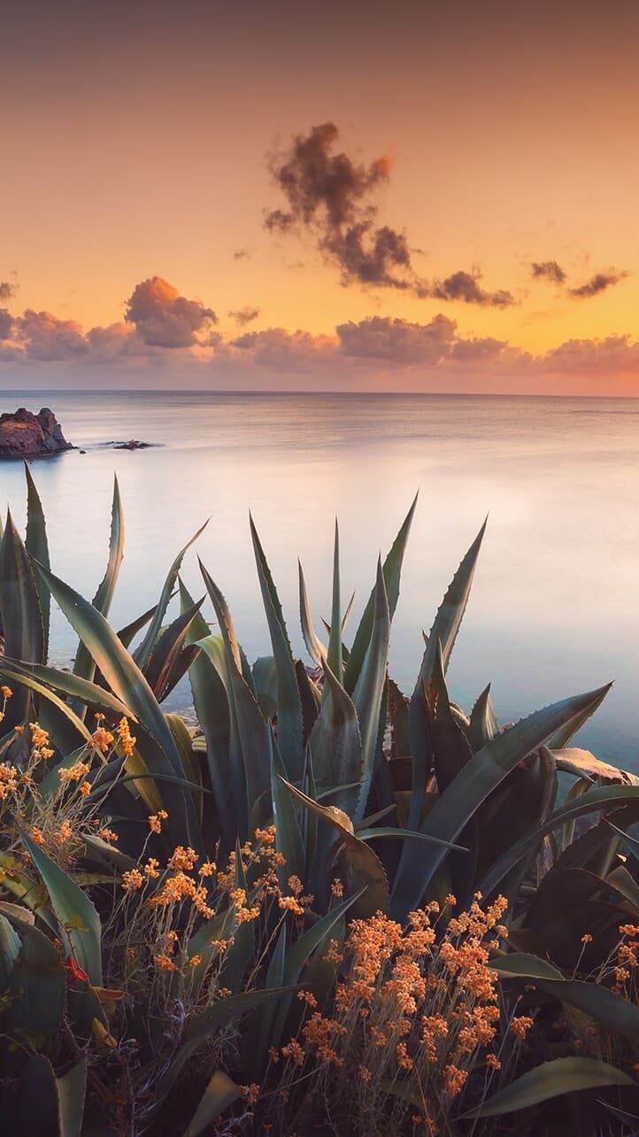 Aesthetic Wallpaper #2783