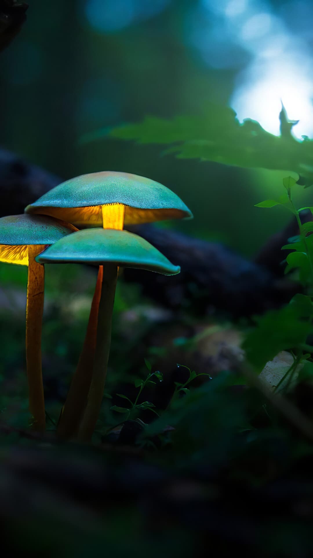 Aesthetic Wallpaper #4896