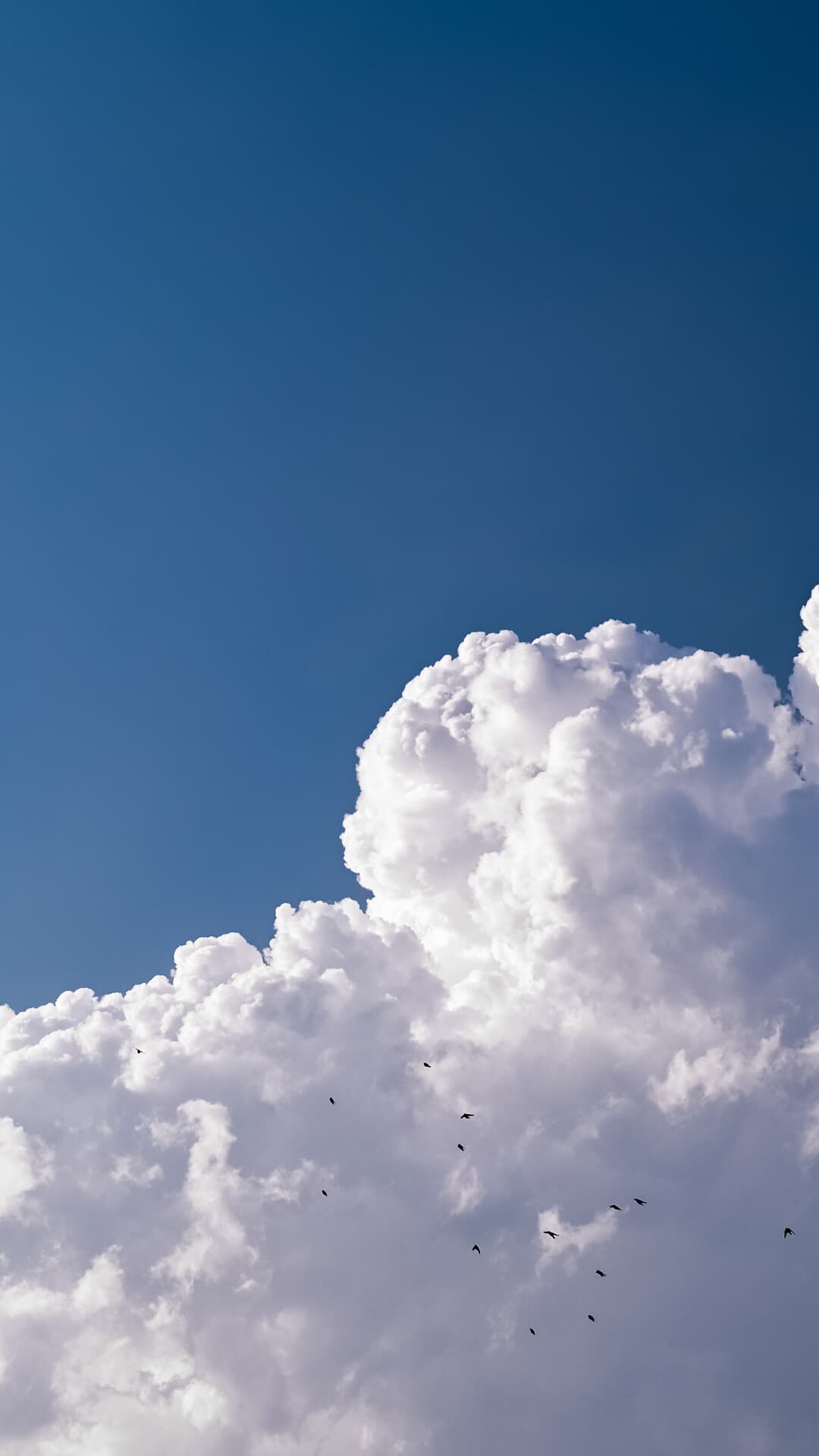 Aesthetic Wallpaper #3839