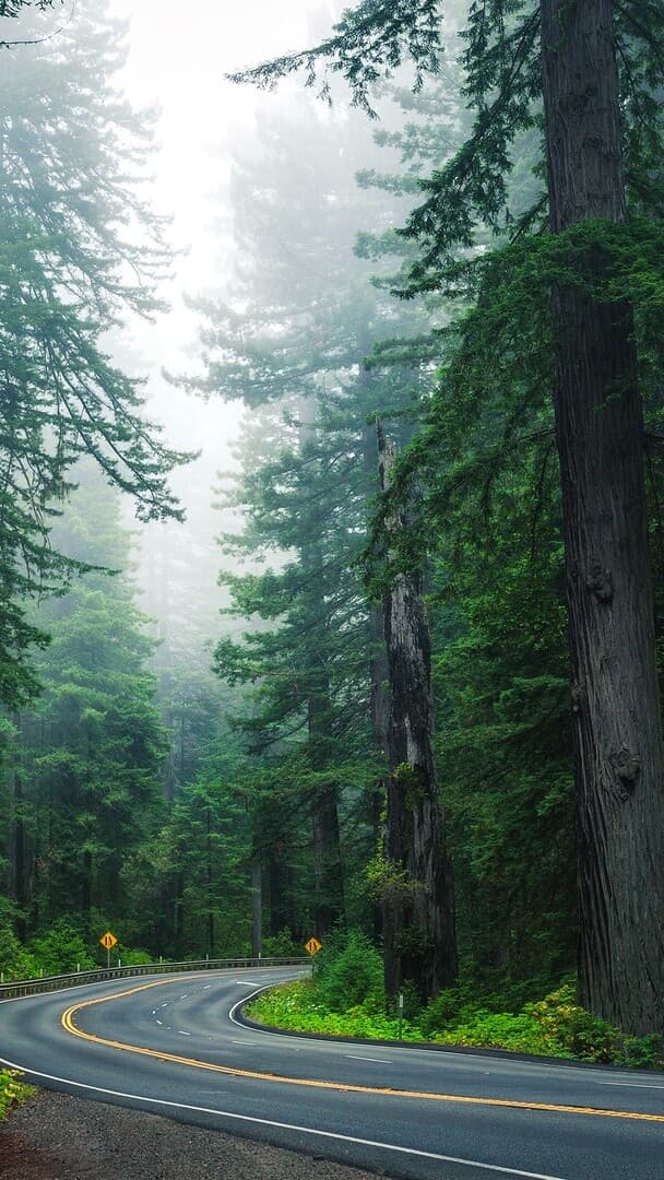 Aesthetic Wallpaper #3523