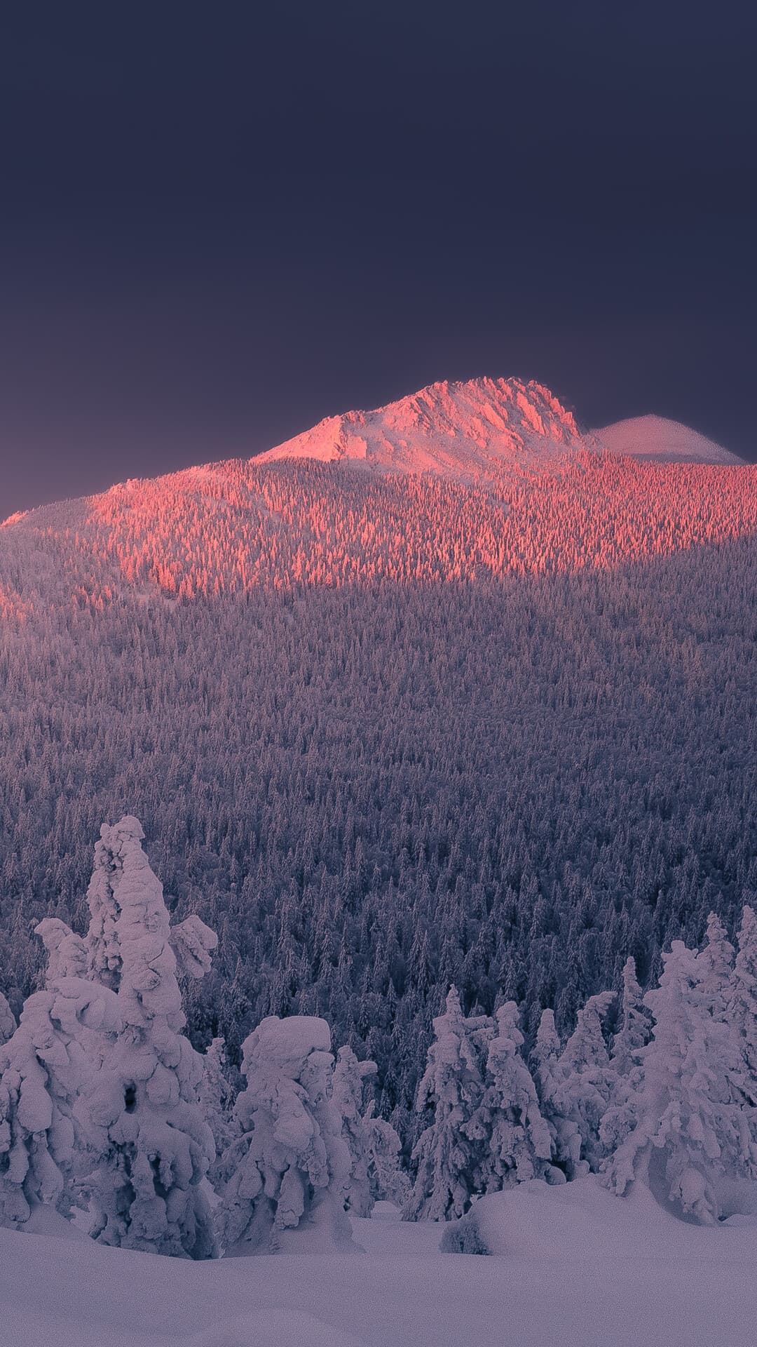 Aesthetic Wallpaper #3166