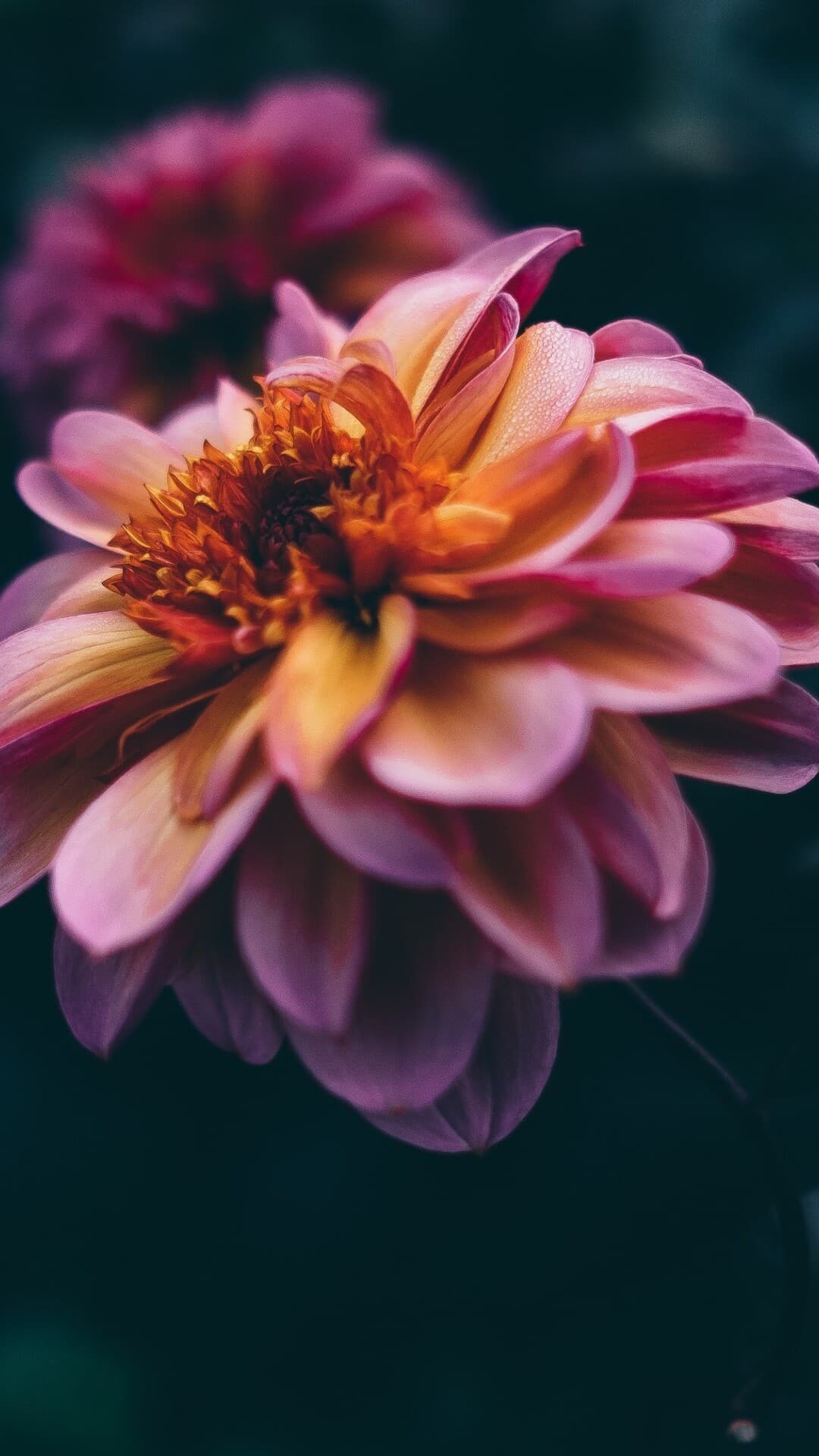 Aesthetic Wallpaper #5485