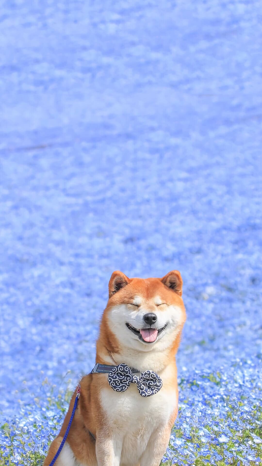 Aesthetic Wallpaper #3959